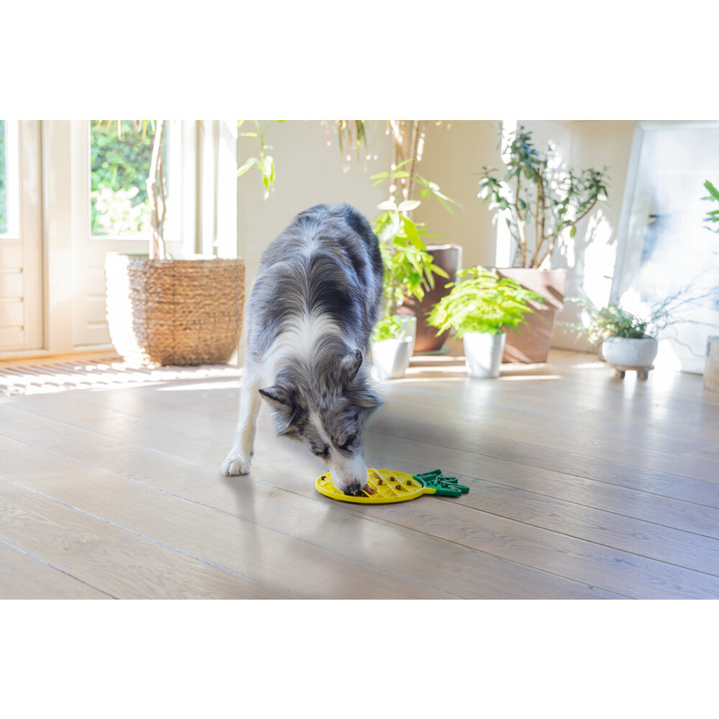 Beeztees Silikon Ananas Yavru Köpek Yaş Mama Yeme Oyuncağı 30x20x3cm (Sarı)
