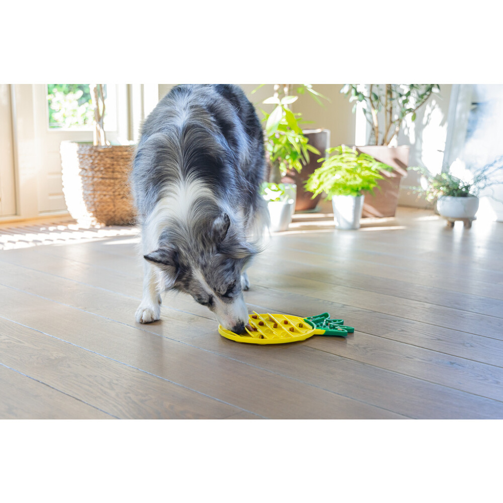 Beeztees Silikon Ananas Yavru Köpek Yaş Mama Yeme Oyuncağı 30x20x3cm (Sarı)