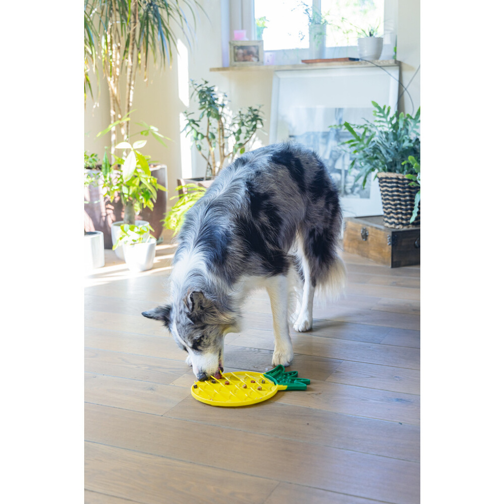 Beeztees Silikon Ananas Yavru Köpek Yaş Mama Yeme Oyuncağı 30x20x3cm (Sarı)