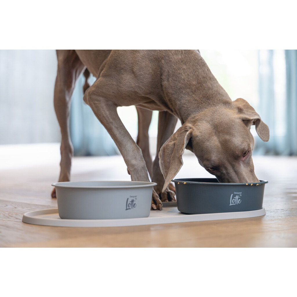 Beeztees Dbl Oona Kaymaz Silikon Mama Su Kabı Servisi 55x30x1,7cm (Bej)