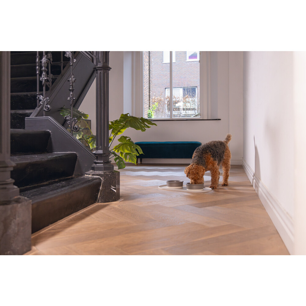 Beeztees Dbl Oona Kaymaz Silikon Mama Su Kabı Servisi 55x30x1,7cm (Bej)