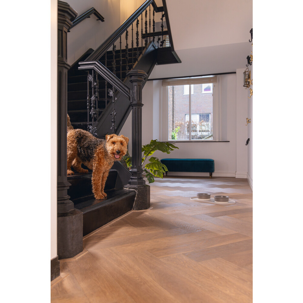 Beeztees Dbl Oona Kaymaz Silikon Mama Su Kabı Servisi 55x30x1,7cm (Bej)