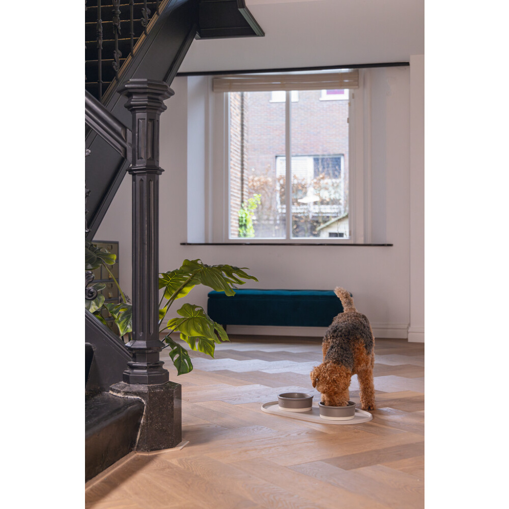 Beeztees Dbl Oona Kaymaz Silikon Mama Su Kabı Servisi 55x30x1,7cm (Bej)