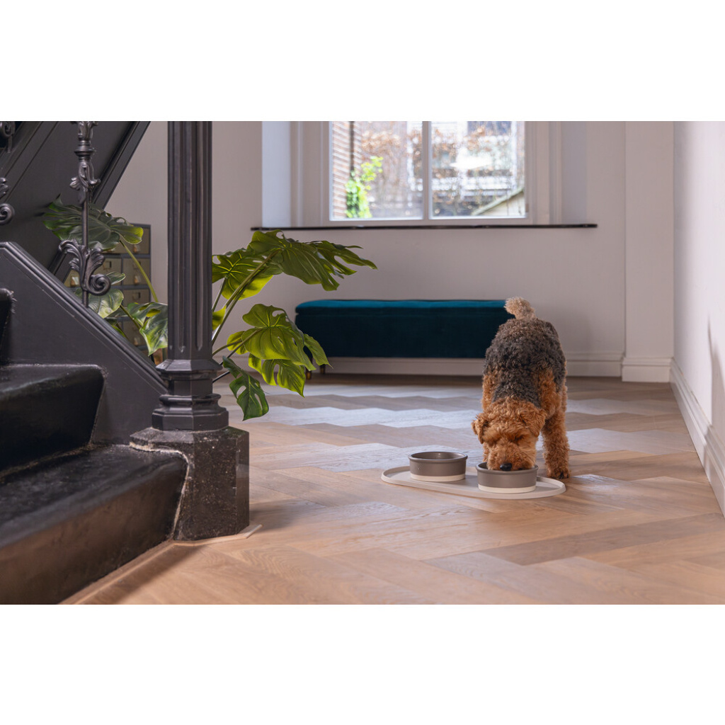 Beeztees Dbl Oona Kaymaz Silikon Mama Su Kabı Servisi 55x30x1,7cm (Bej)