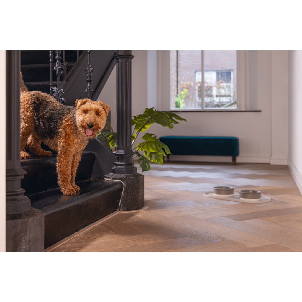 Beeztees Dbl Oona Kaymaz Silikon Mama Su Kabı Servisi 55x30x1,7cm (Bej)