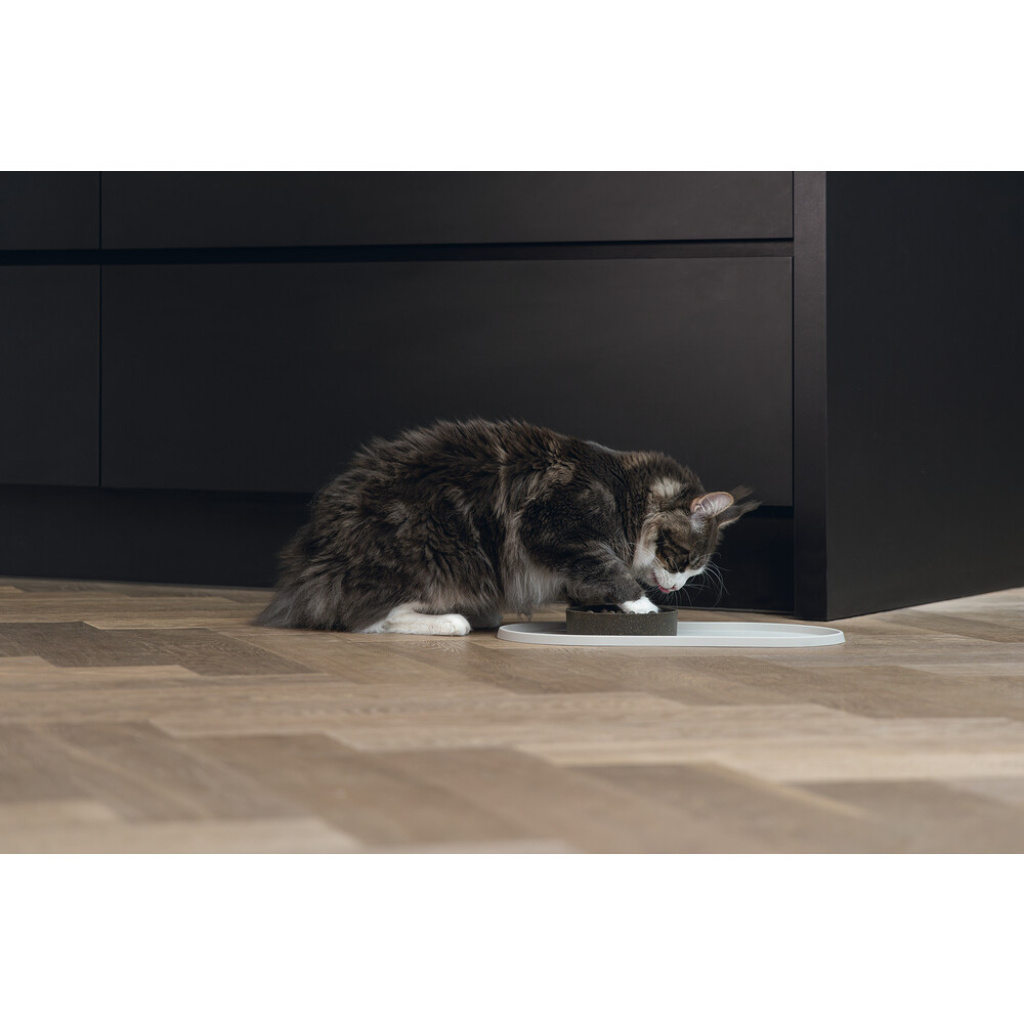 Beeztees Dbl Oona Silikon Kaymaz Mama Su Kabı Servisi 45x25x1,5cm (Bej)