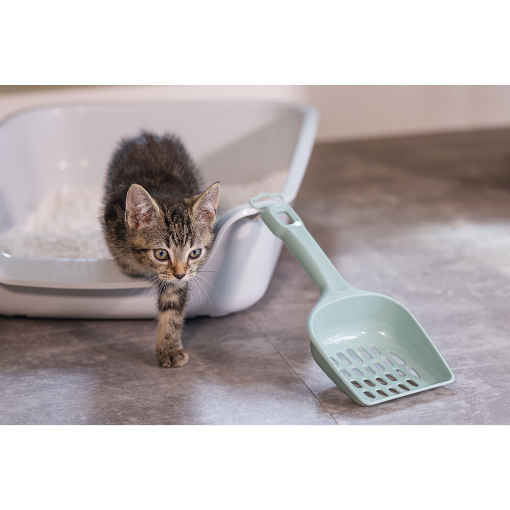 Beeztees Kedi Kumu Küreği 27x11x5cm (Açık Yeşil)