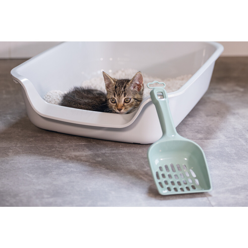 Beeztees Kedi Kumu Küreği 27x11x5cm (Açık Yeşil)