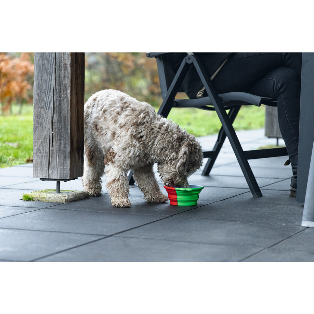 Beeztees Rua Silikon Teleskopik Köpek Mama ve Su Kabı 750ml (Yeşil)