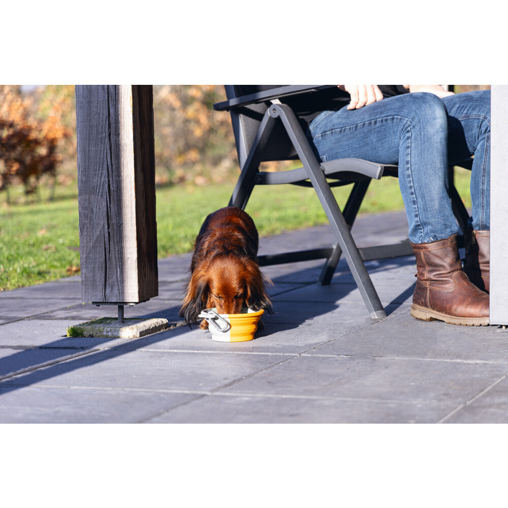 Beeztees Rua Silikon Teleskopik Köpek Mama ve Su Kabı 750ml (Turuncu)