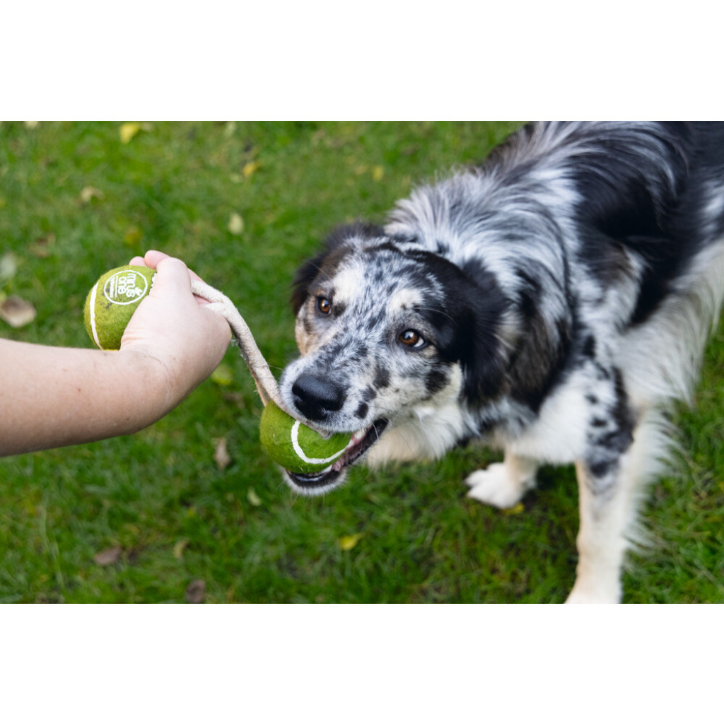 Beeztees Kauçuk İpli Tenis Topu Köpek Oyuncağı 21cm