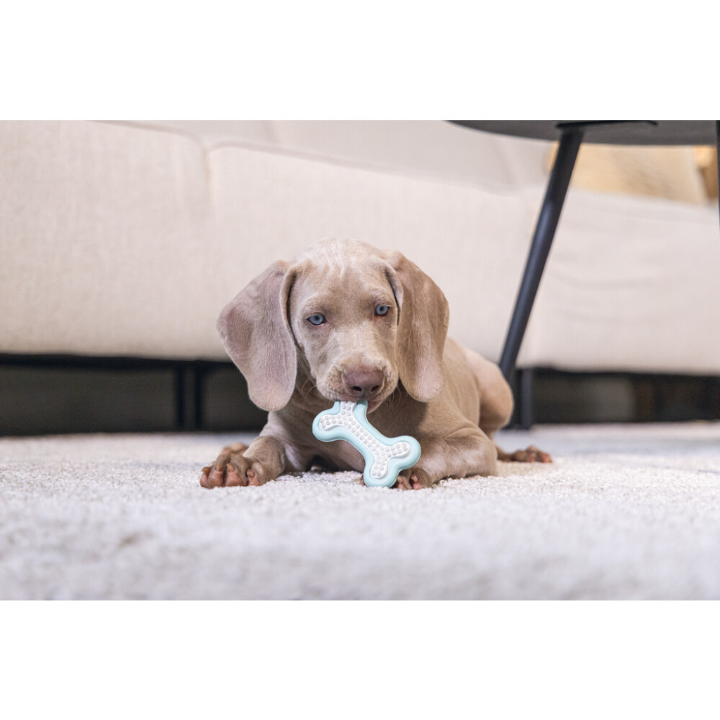 Beeztees Petito Kauçuk Kemik Yavru Köpek Diş Oyuncağı 10cm (Yeşil)