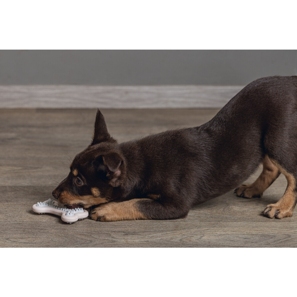 Beeztees Kauçuk Halka Yavru Köpek Diş Oyuncağı 10x5,5x2cm (Pembe)