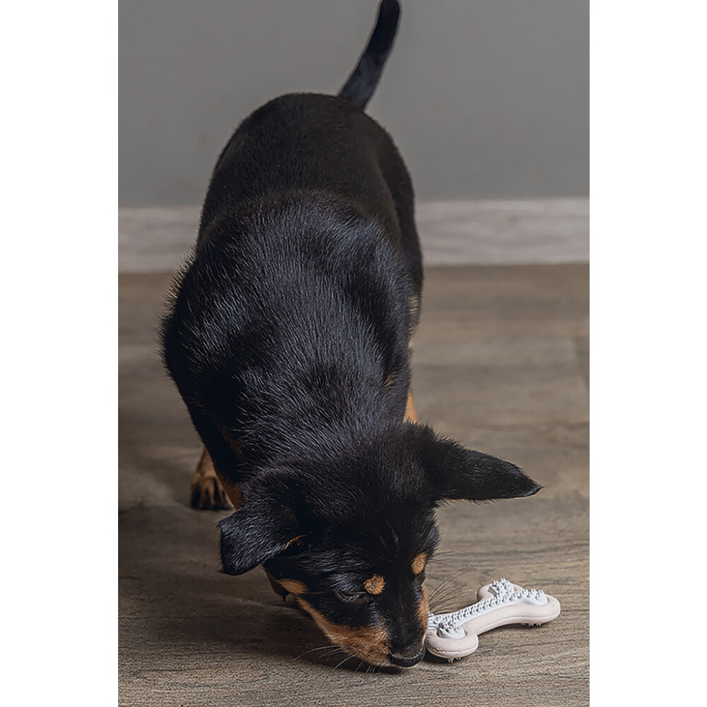 Beeztees Kauçuk Halka Yavru Köpek Diş Oyuncağı 10x5,5x2cm (Pembe)