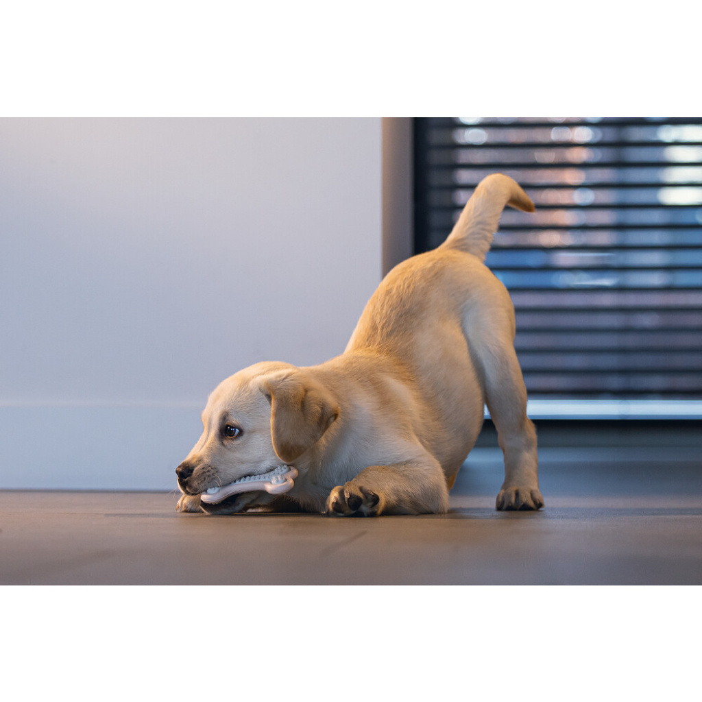 Beeztees Kauçuk Halka Yavru Köpek Diş Oyuncağı 10x5,5x2cm (Pembe)