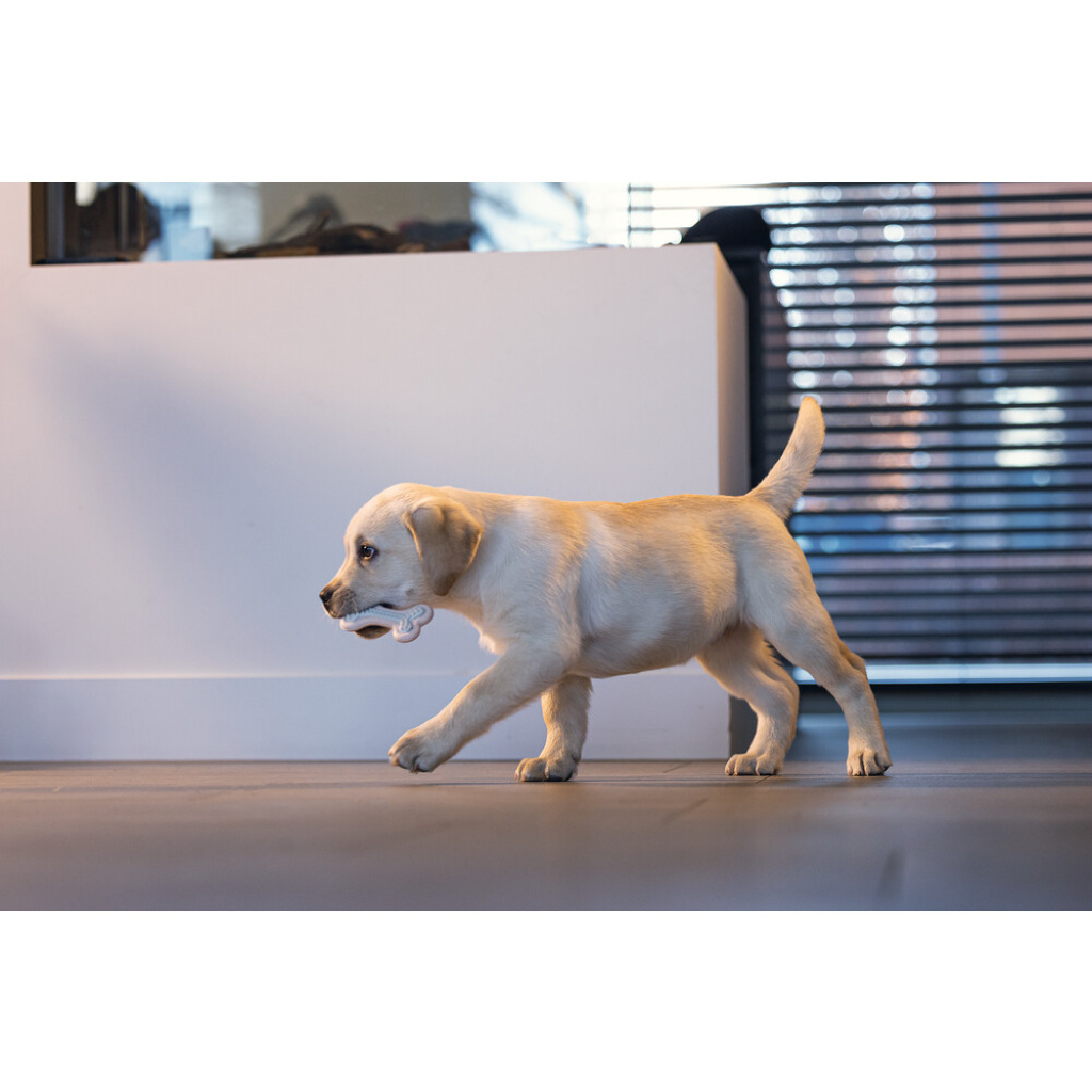 Beeztees Kauçuk Halka Yavru Köpek Diş Oyuncağı 10x5,5x2cm (Pembe)