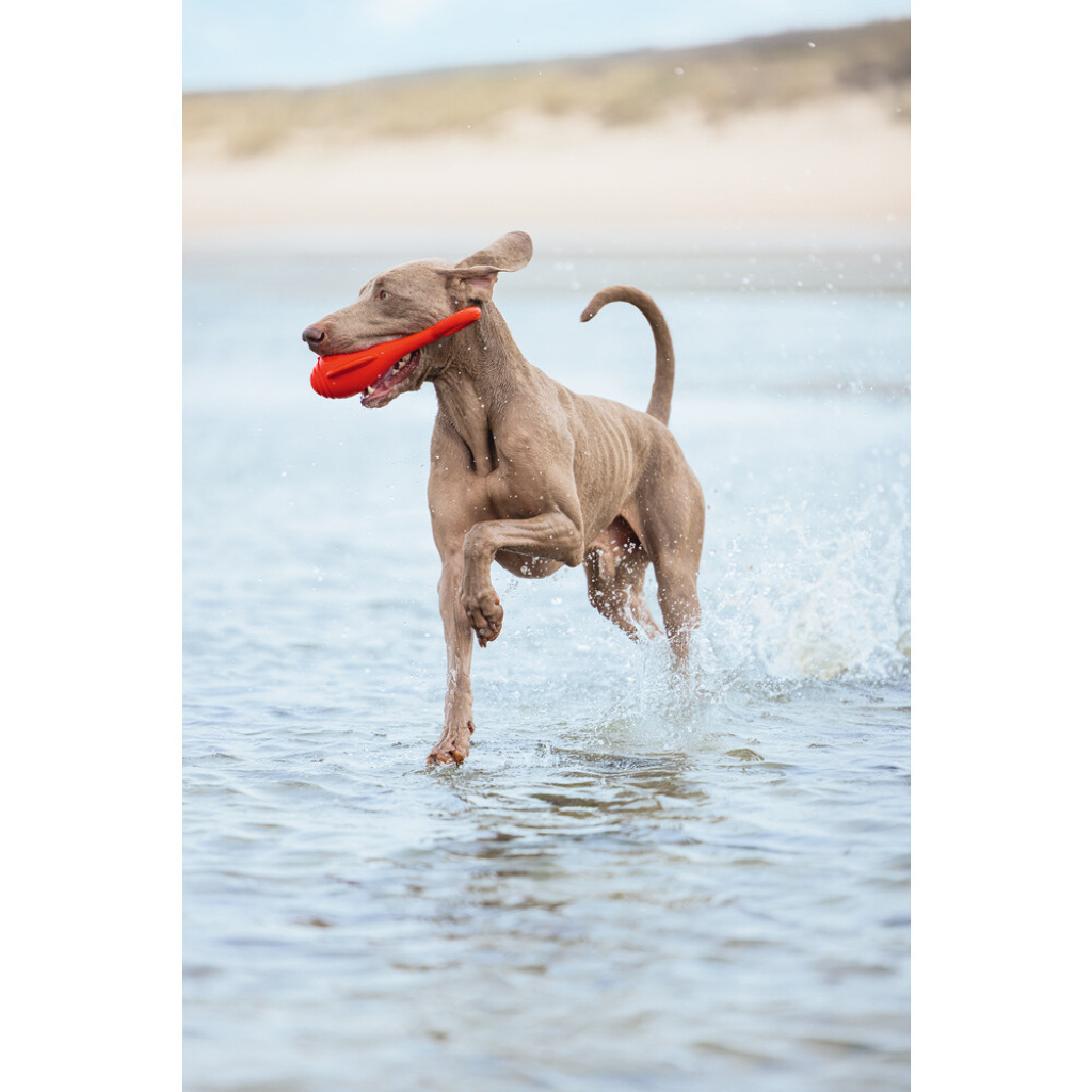 Beeztees Tpr Şamandıra Yüzen Köpek Oyuncağı 28x13x8cm (Kırmızı)