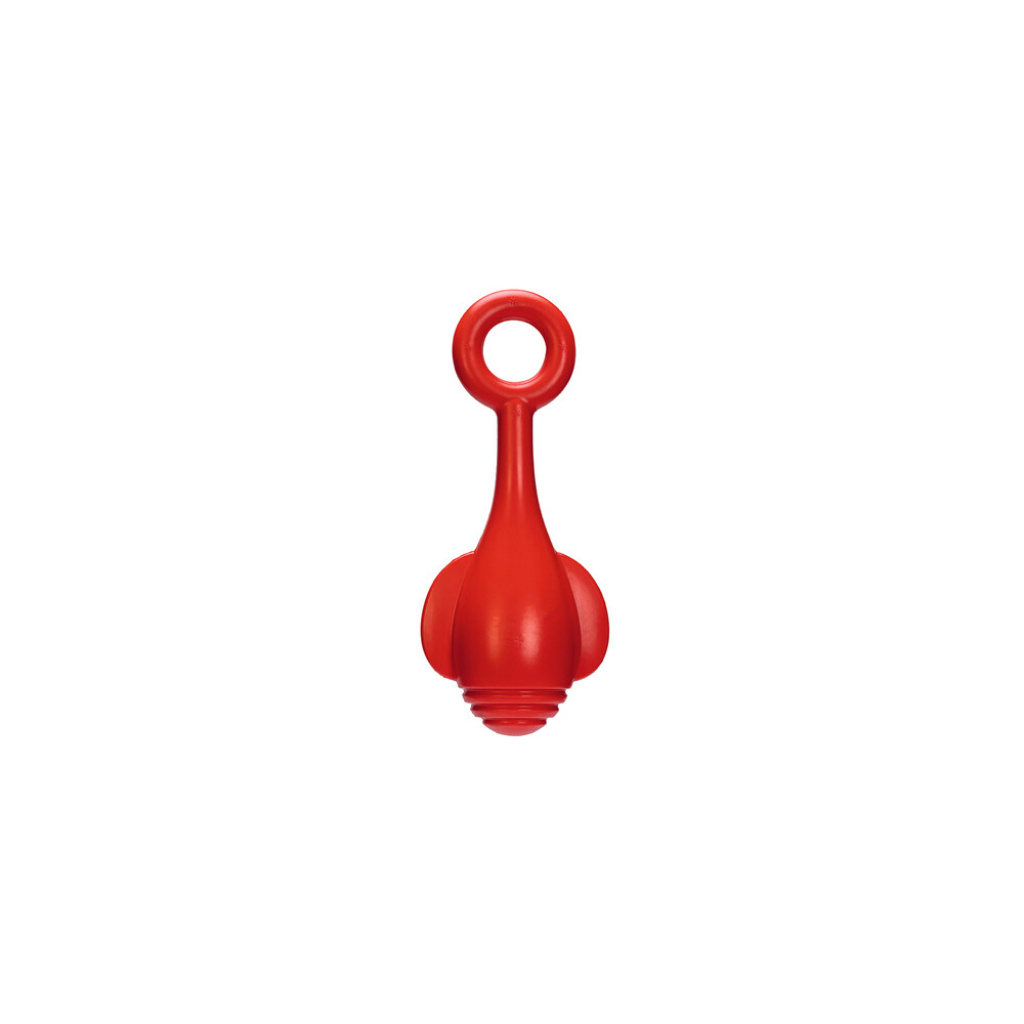 Beeztees Tpr Şamandıra Yüzen Köpek Oyuncağı 28x13x8cm (Kırmızı)