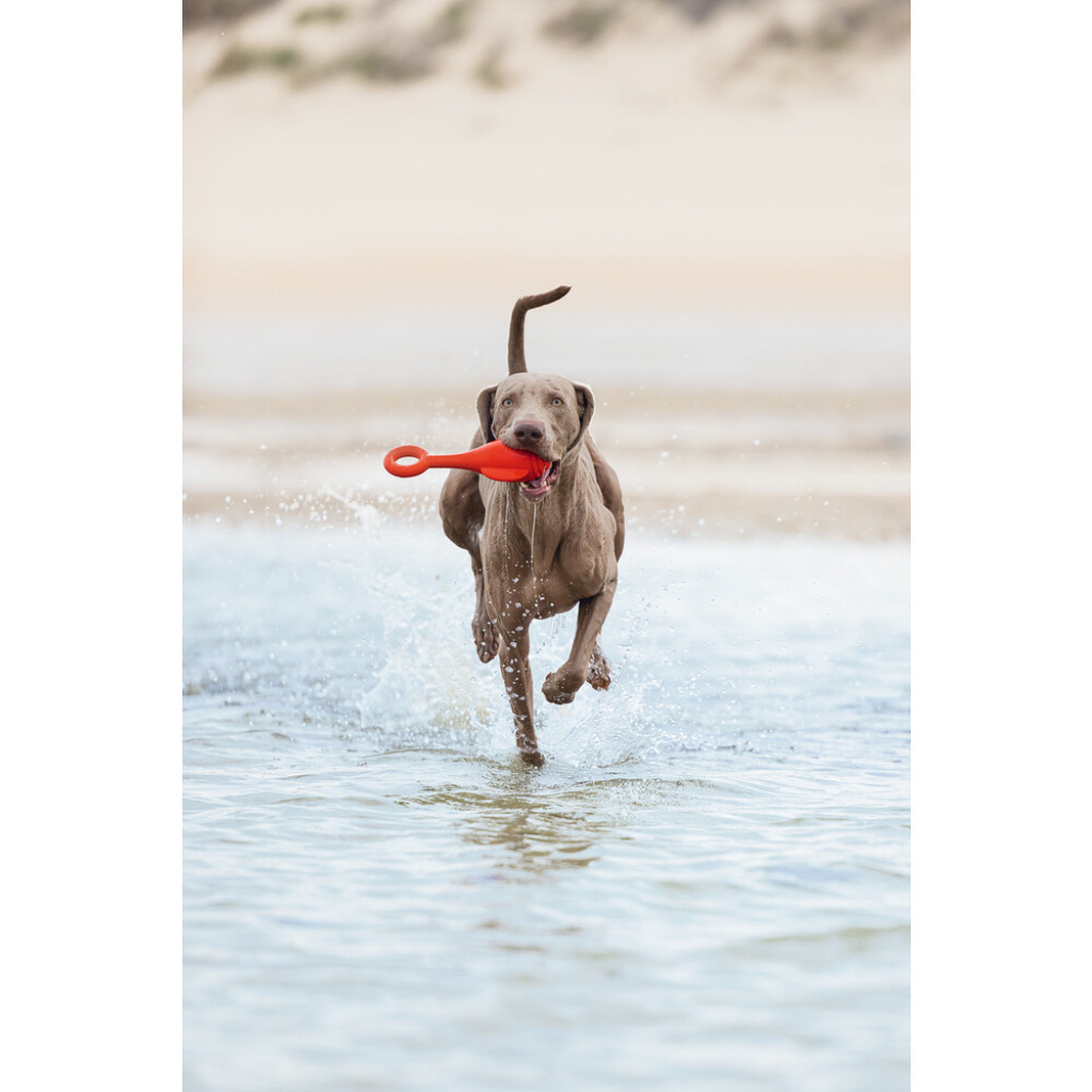 Beeztees Tpr Şamandıra Yüzen Köpek Oyuncağı 28x13x8cm (Kırmızı)