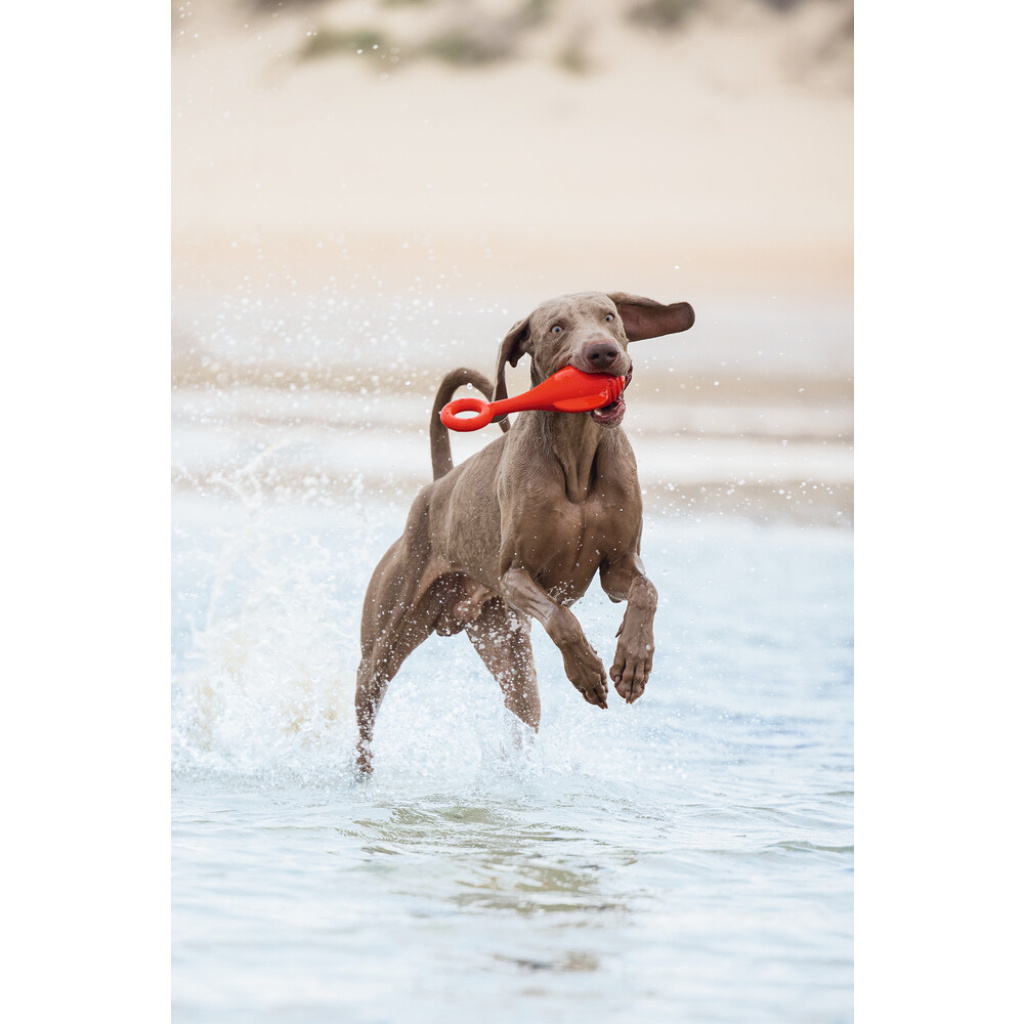 Beeztees Tpr Şamandıra Yüzen Köpek Oyuncağı 28x13x8cm (Kırmızı)