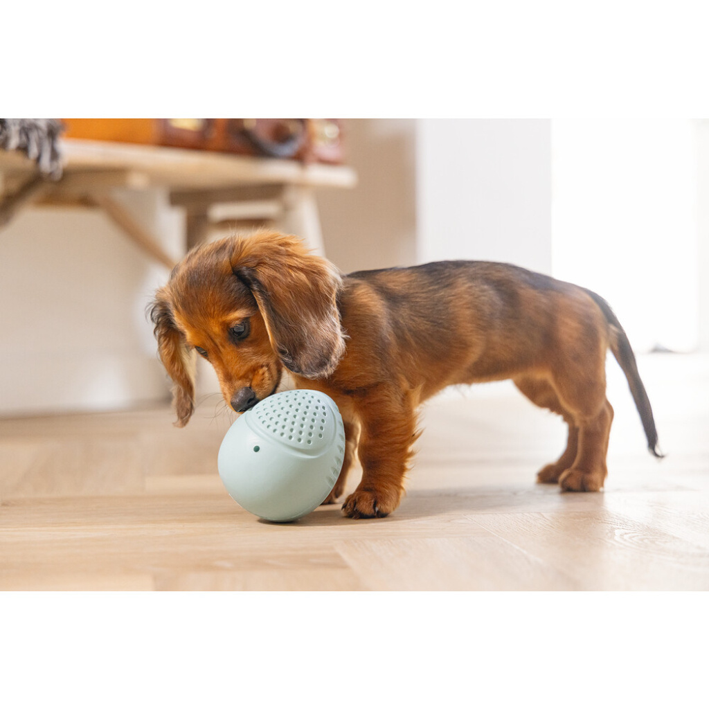 Beeztees Kauçuk Yumurta Ödül ve Oyun Yavru Köpek Oyuncağı 6x6x8cm (Turkuaz)