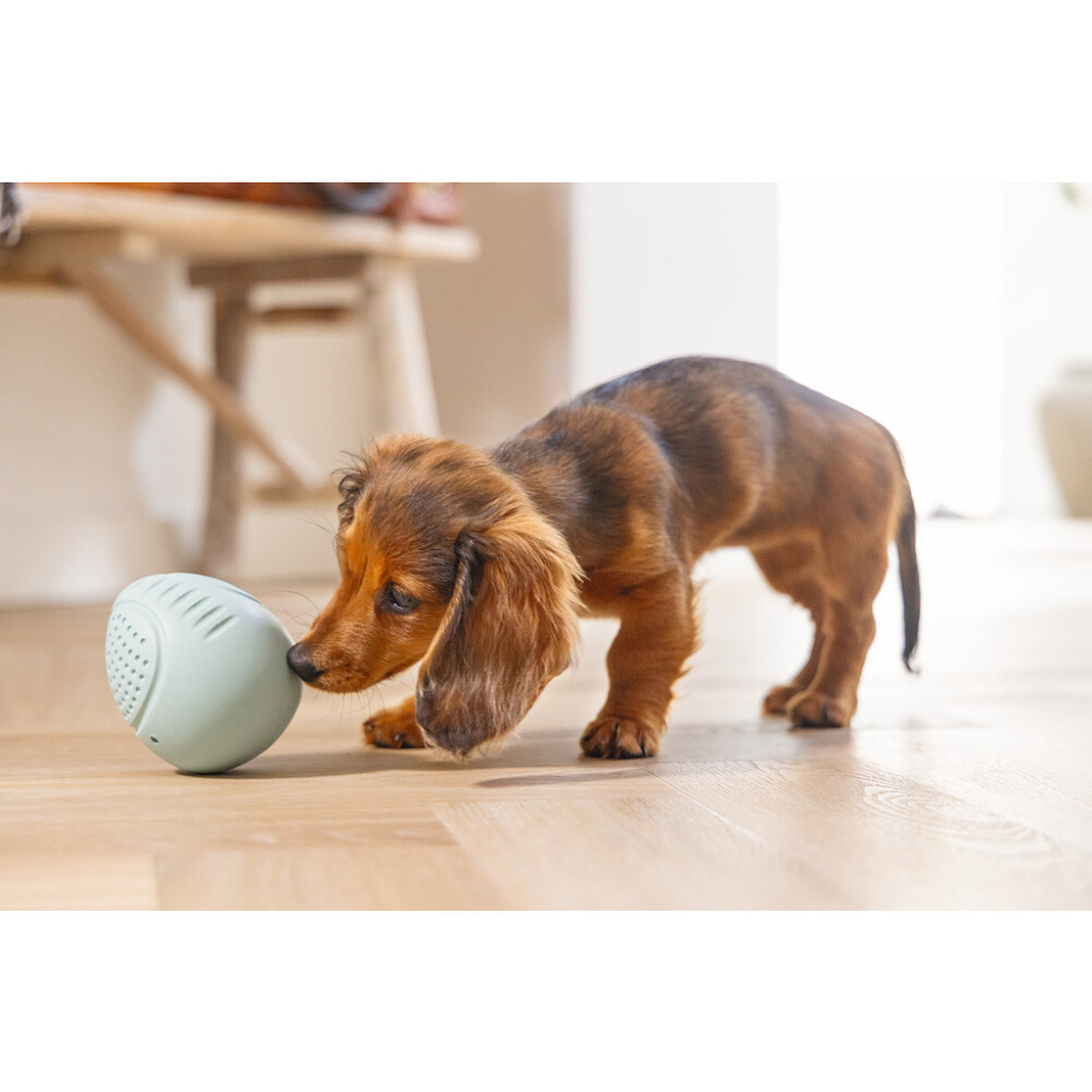 Beeztees Kauçuk Yumurta Ödül ve Oyun Yavru Köpek Oyuncağı 6x6x8cm (Turkuaz)