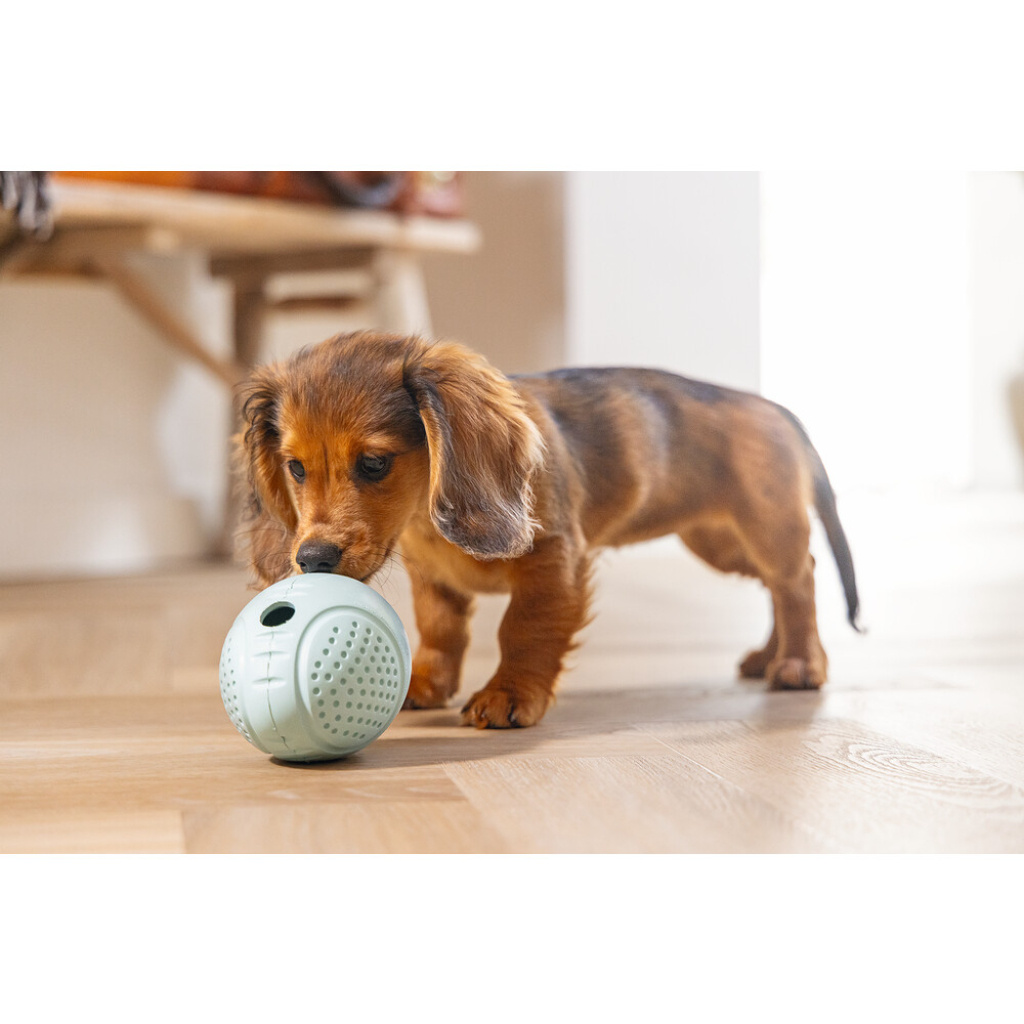 Beeztees Kauçuk Yumurta Ödül ve Oyun Yavru Köpek Oyuncağı 6x6x8cm (Turkuaz)