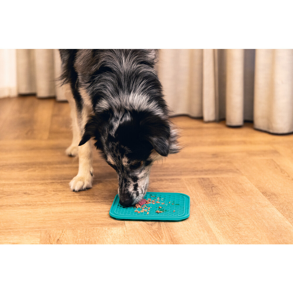 Beeztees Silikon Kare Şeklinde Yavru Köpek Yaş Mama Yeme Oyuncağı 20x20cm (Yeşil)