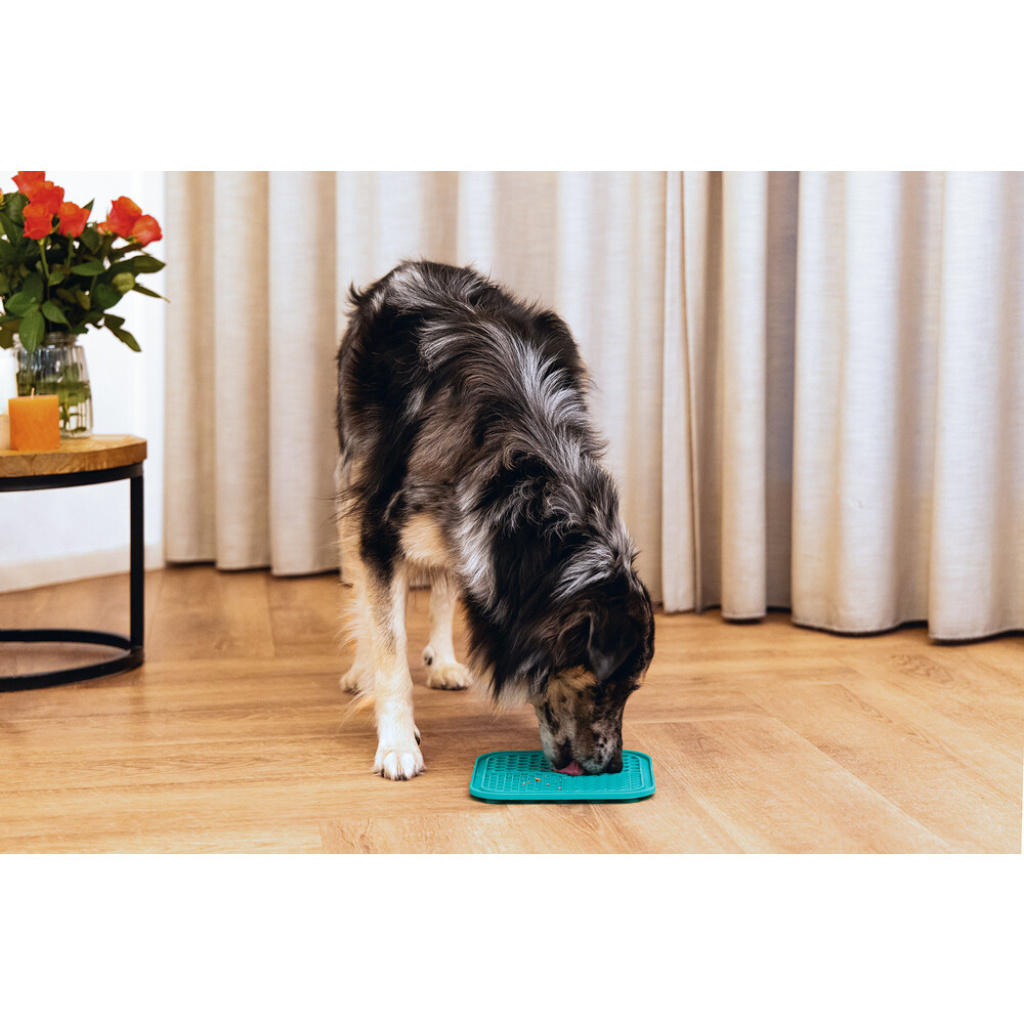 Beeztees Silikon Kare Şeklinde Yavru Köpek Yaş Mama Yeme Oyuncağı 20x20cm (Yeşil)