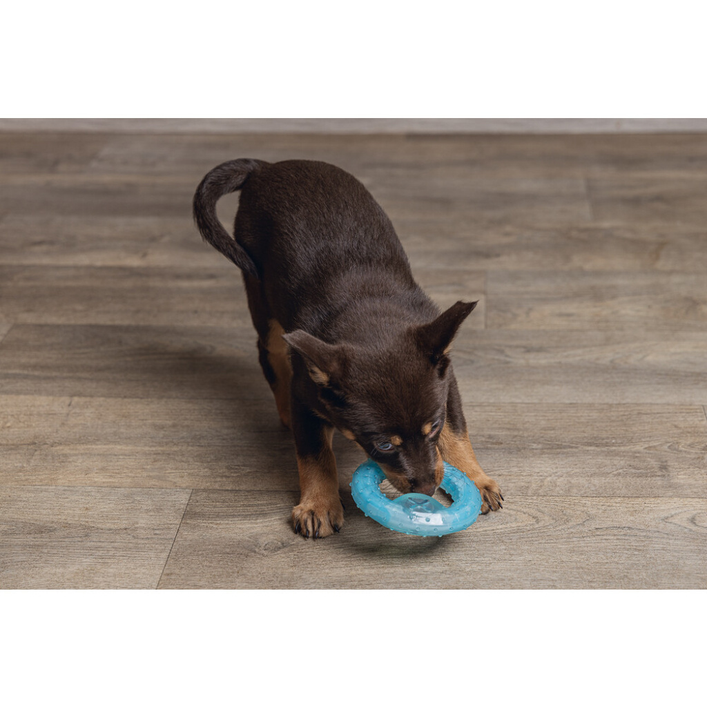 Beeztees Lou Tpr Diş Kaşıma Yavru Köpek Oyuncağı 10x10x2,3cm (Mavi)