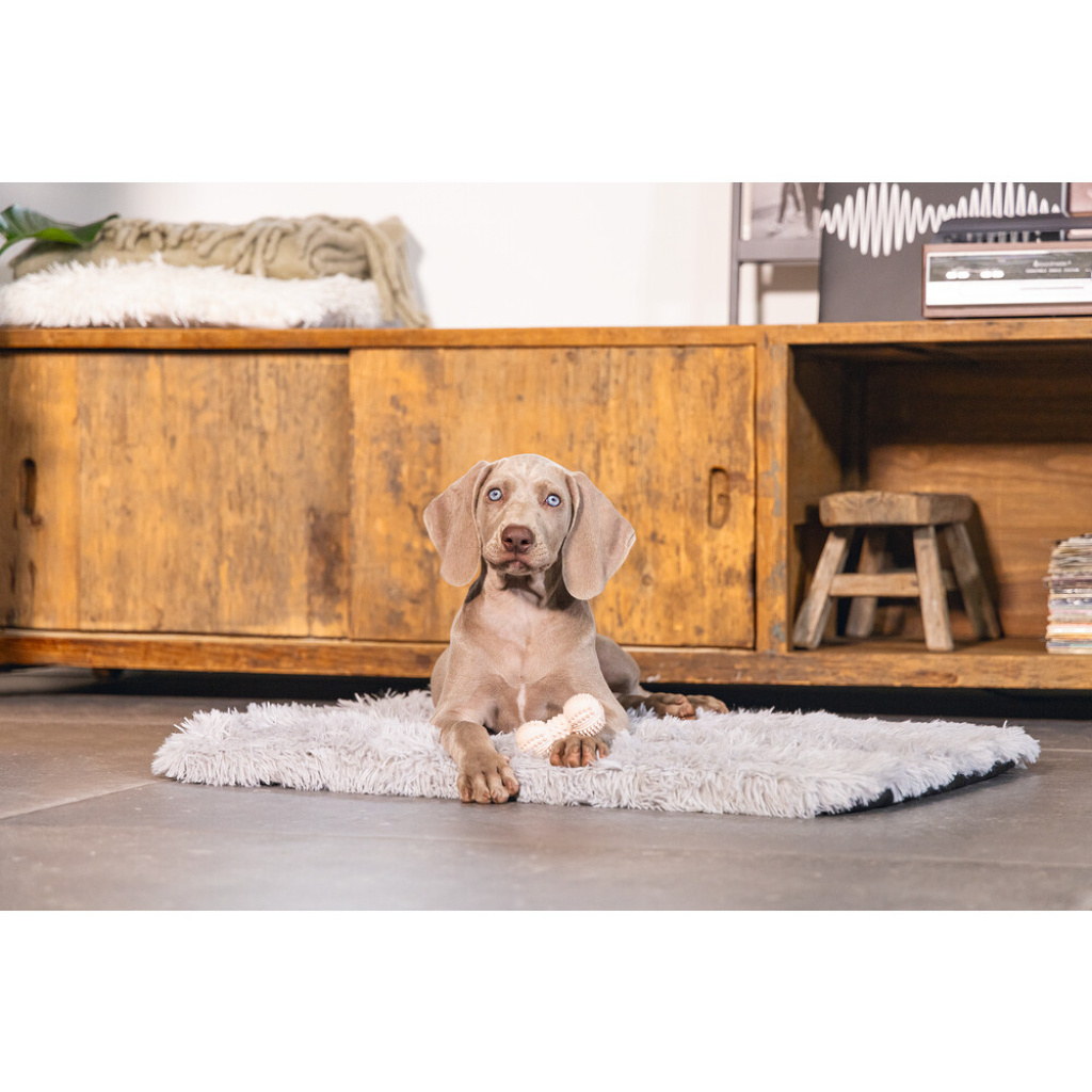 Beeztees Kauçuk Dambıl Yavru Köpek Oyuncağı 9cm (Pembe)