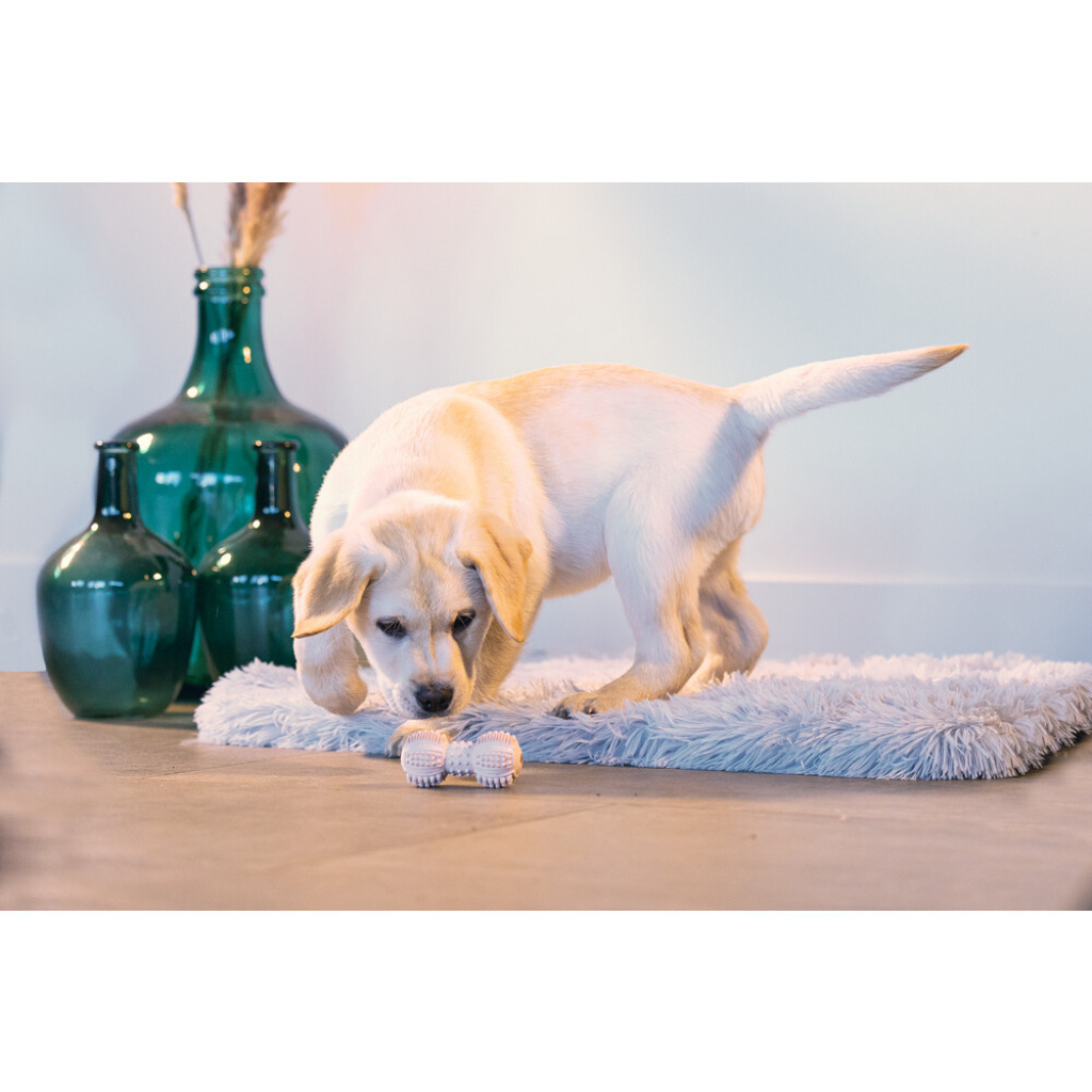 Beeztees Kauçuk Dambıl Yavru Köpek Oyuncağı 9cm (Pembe)