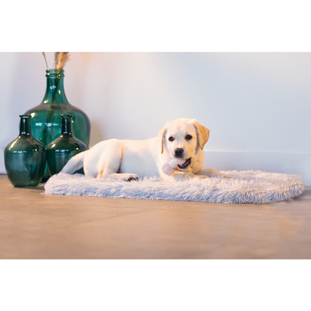 Beeztees Kauçuk Dambıl Yavru Köpek Oyuncağı 9cm (Pembe)