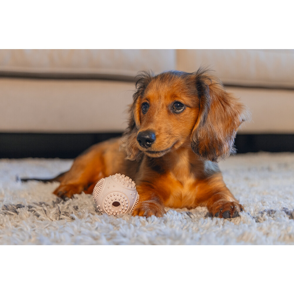 Beeztees Kauçuk Diş Kaşıma Topu Yavru Köpek Oyuncağı 5cm (Pembe)