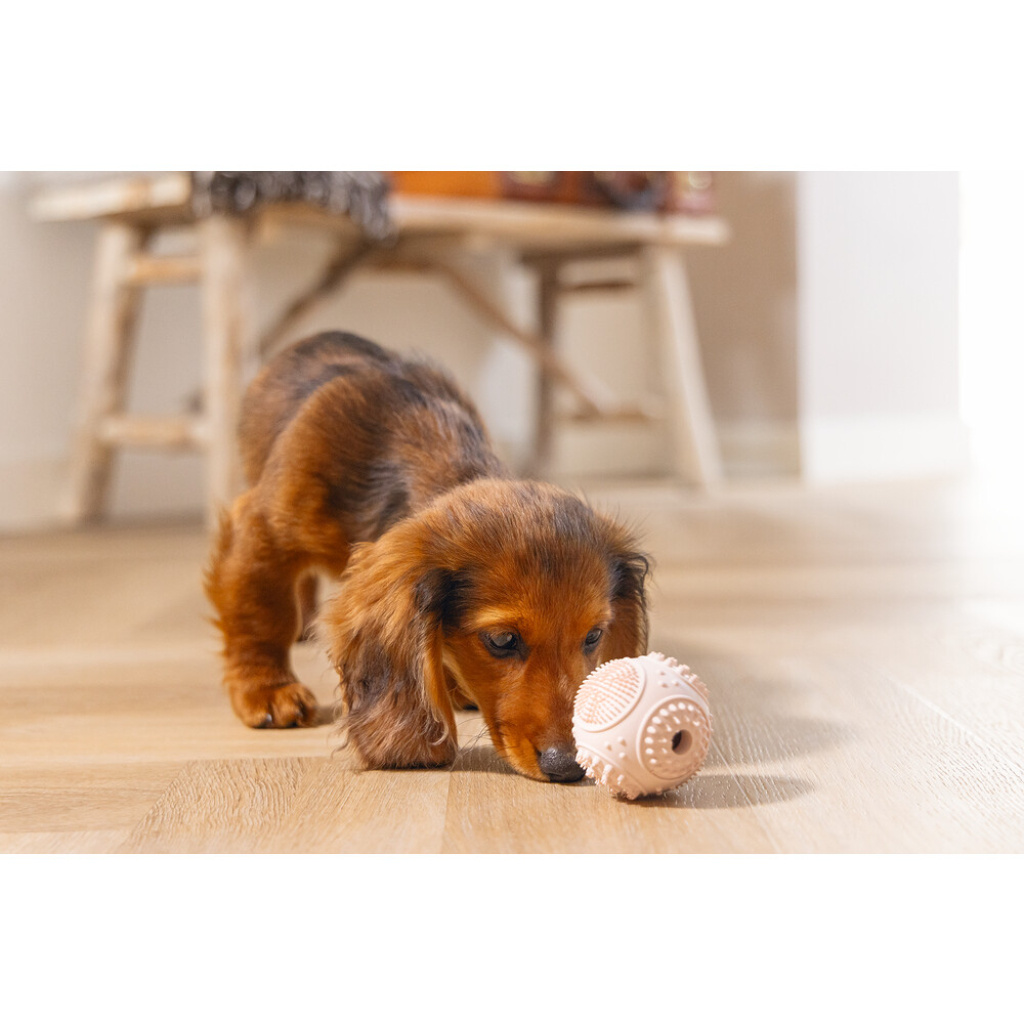 Beeztees Kauçuk Diş Kaşıma Topu Yavru Köpek Oyuncağı 5cm (Pembe)