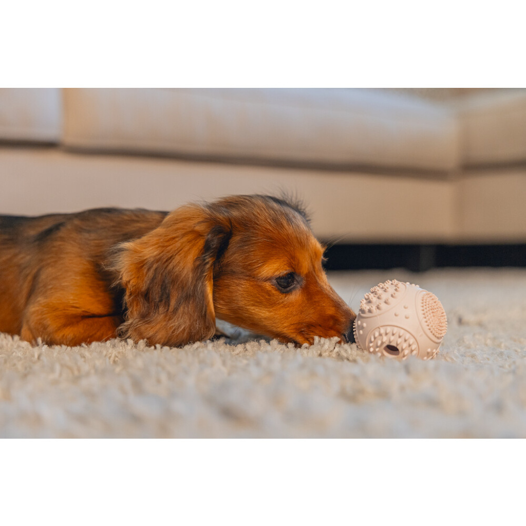 Beeztees Kauçuk Diş Kaşıma Topu Yavru Köpek Oyuncağı 5cm (Pembe)