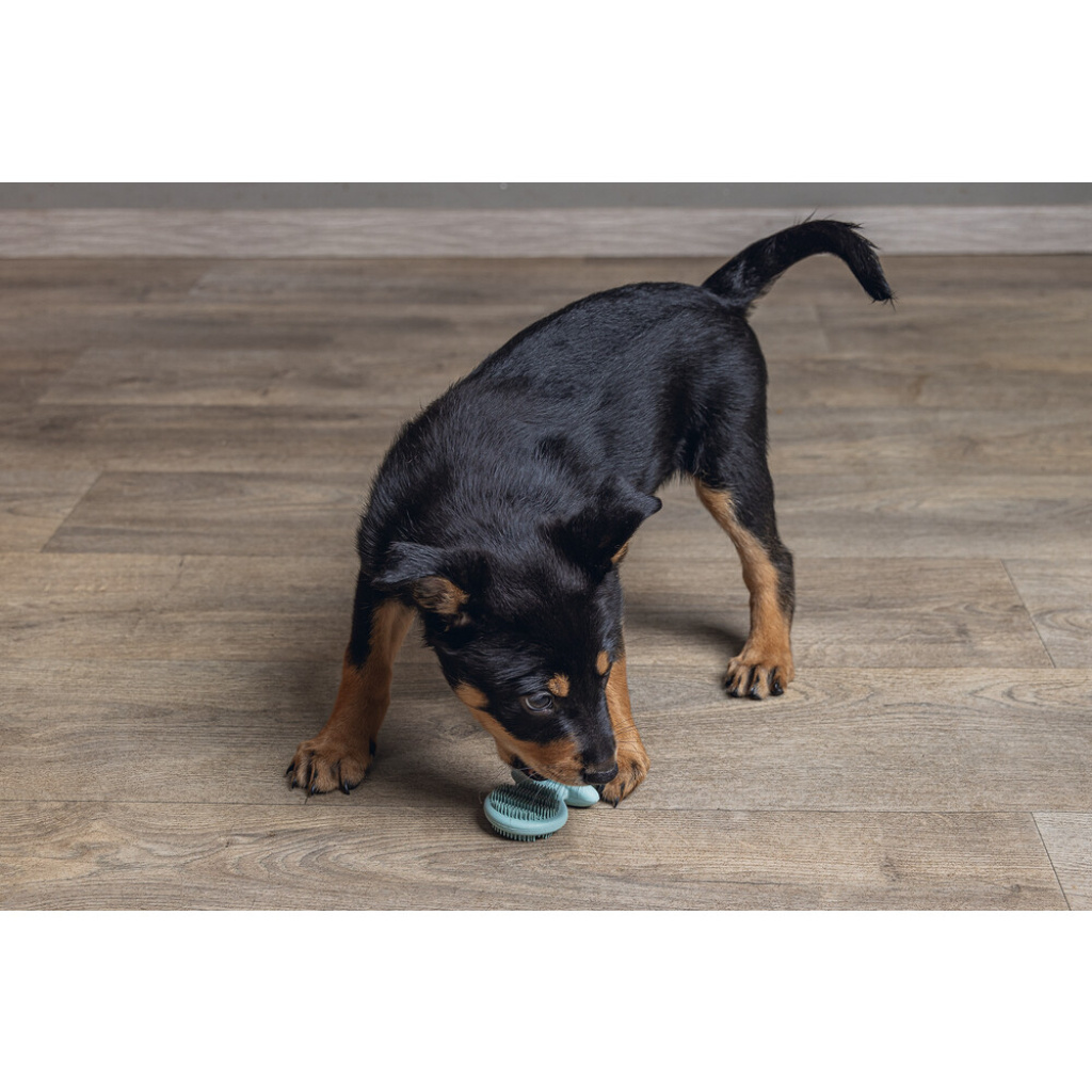 Beeztees Kauçuk Diş Kaşıma Yavru Köpek Oyuncağı 9,5x5,5x2cm (Yeşil)