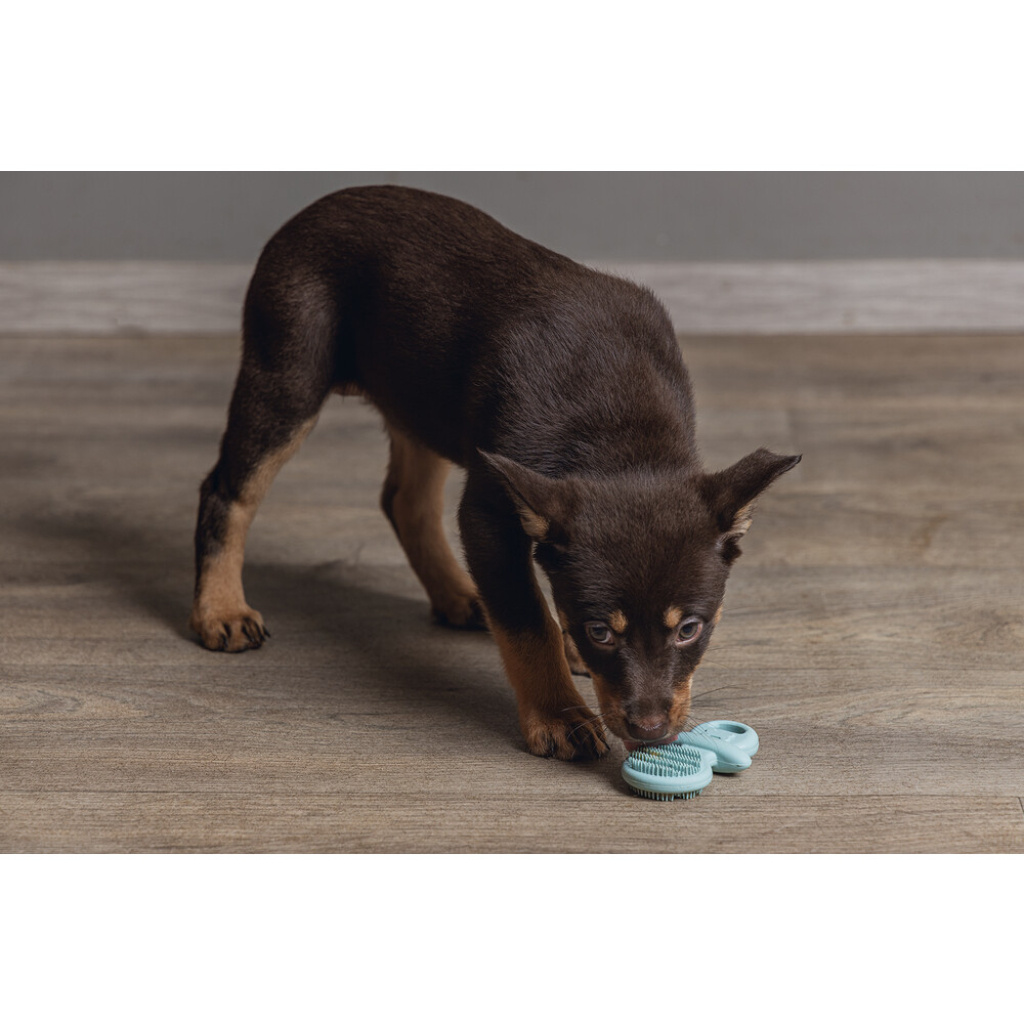 Beeztees Kauçuk Diş Kaşıma Yavru Köpek Oyuncağı 9,5x5,5x2cm (Yeşil)