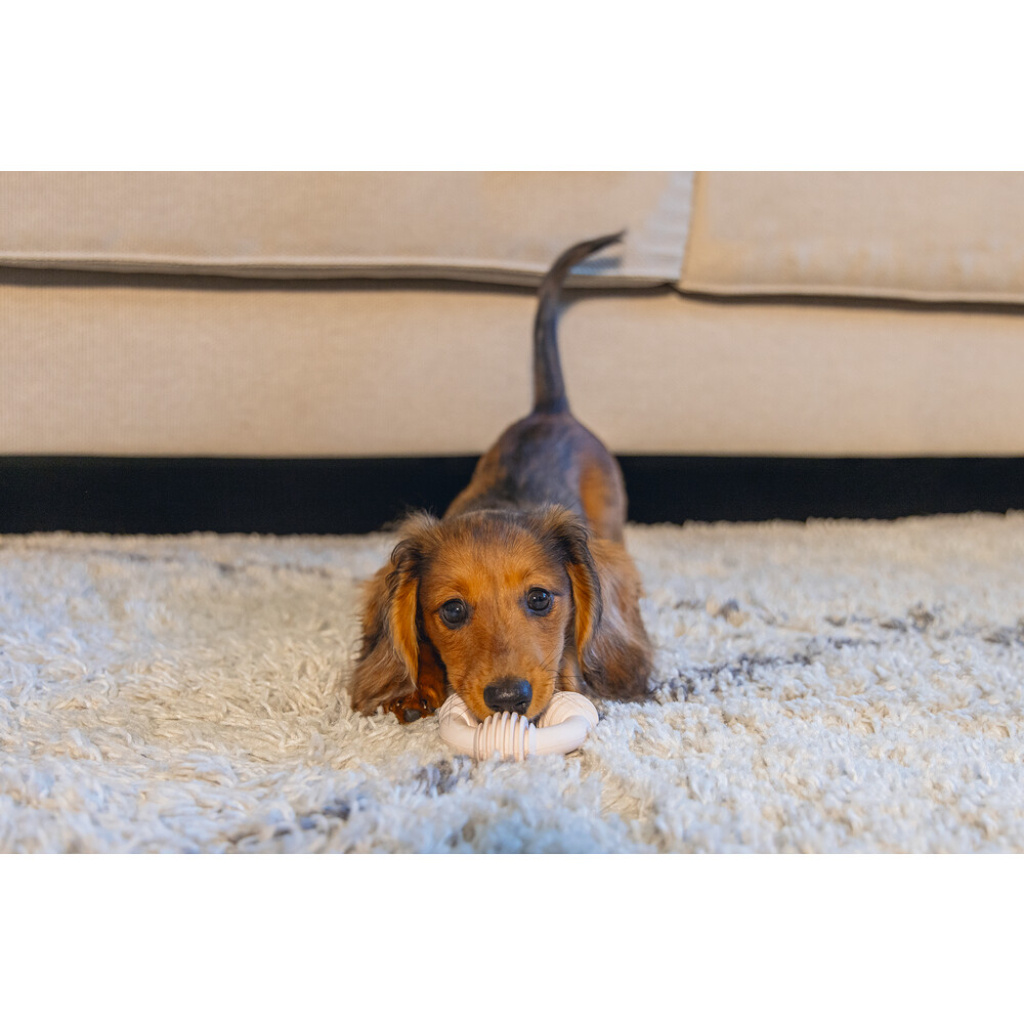 Beeztees Vanilya Kokulu Kauçuk Halka Yavru Köpek Diş Oyuncağı 8cm (Pembe)