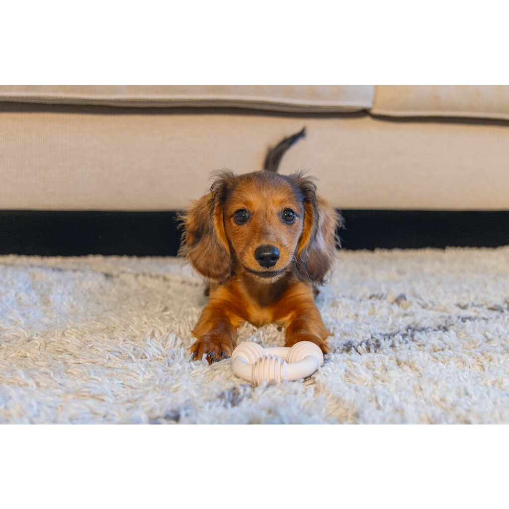 Beeztees Vanilya Kokulu Kauçuk Halka Yavru Köpek Diş Oyuncağı 8cm (Pembe)