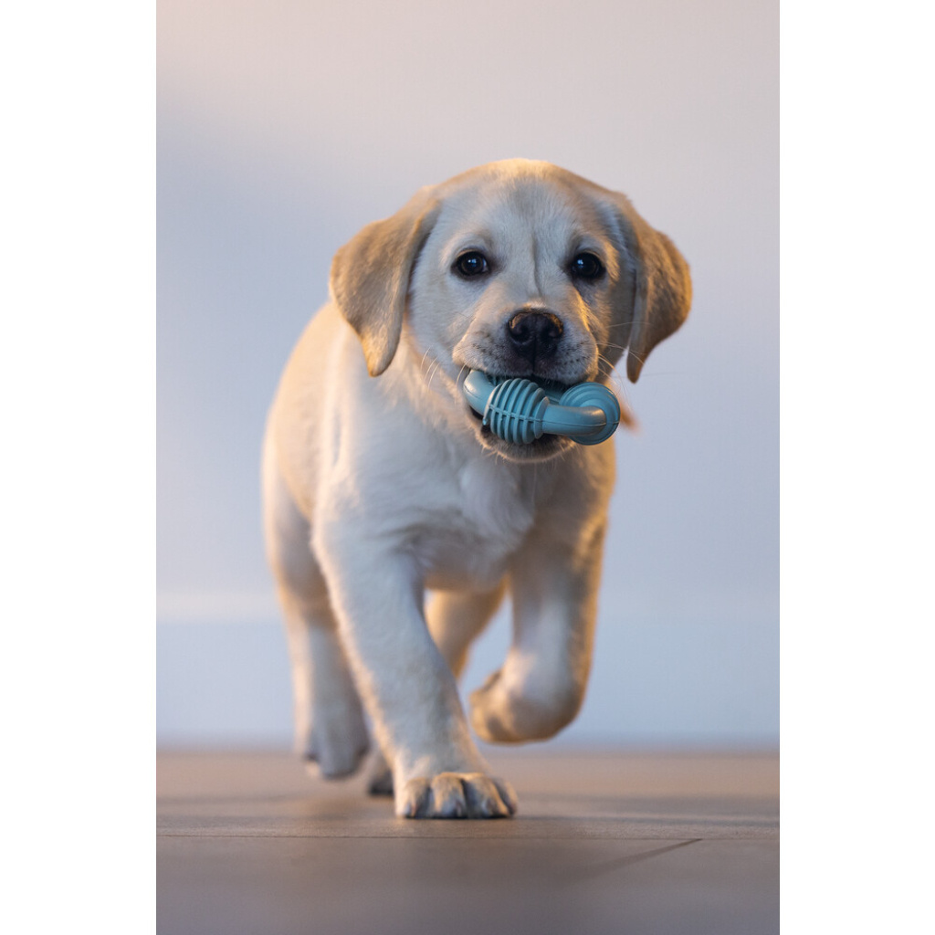 Beeztees Vanilya Kokulu Kauçuk Halka Yavru Köpek Diş Oyuncağı 8cm (Yeşil)