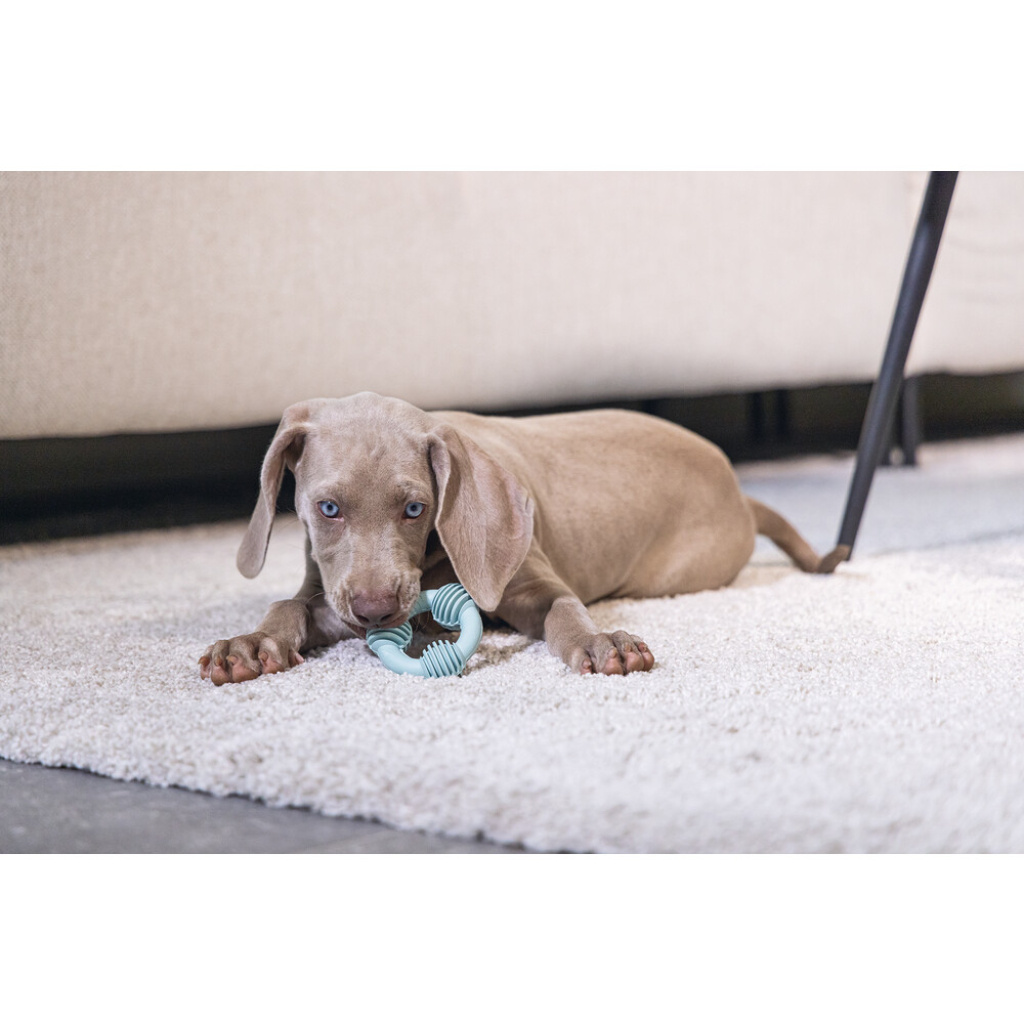 Beeztees Vanilya Kokulu Kauçuk Halka Yavru Köpek Diş Oyuncağı 8cm (Yeşil)