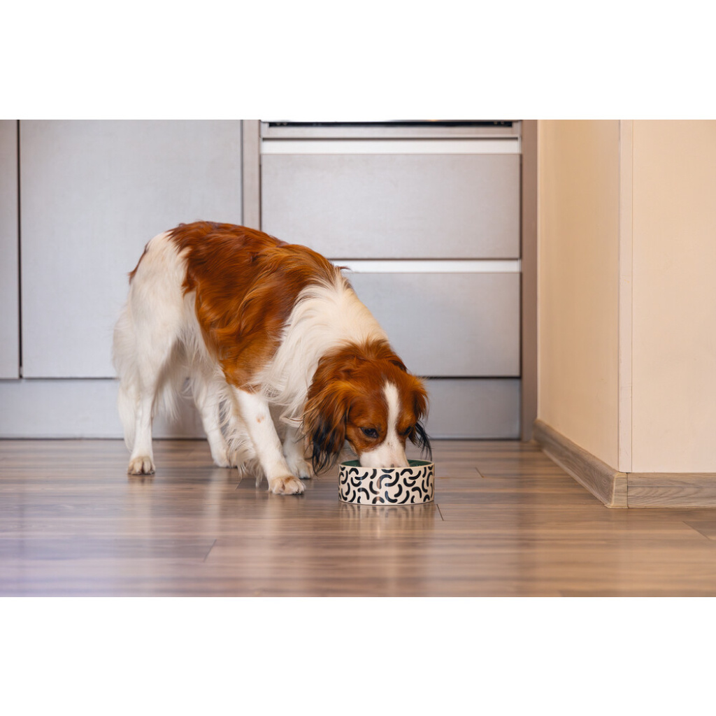 Beeztees Mark Seramik Köpek Mama Su Kabı 800ml