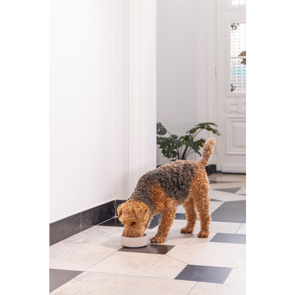 Beeztees Dbl Noor Köpek Mama Su Kabı 800ml (Bej)
