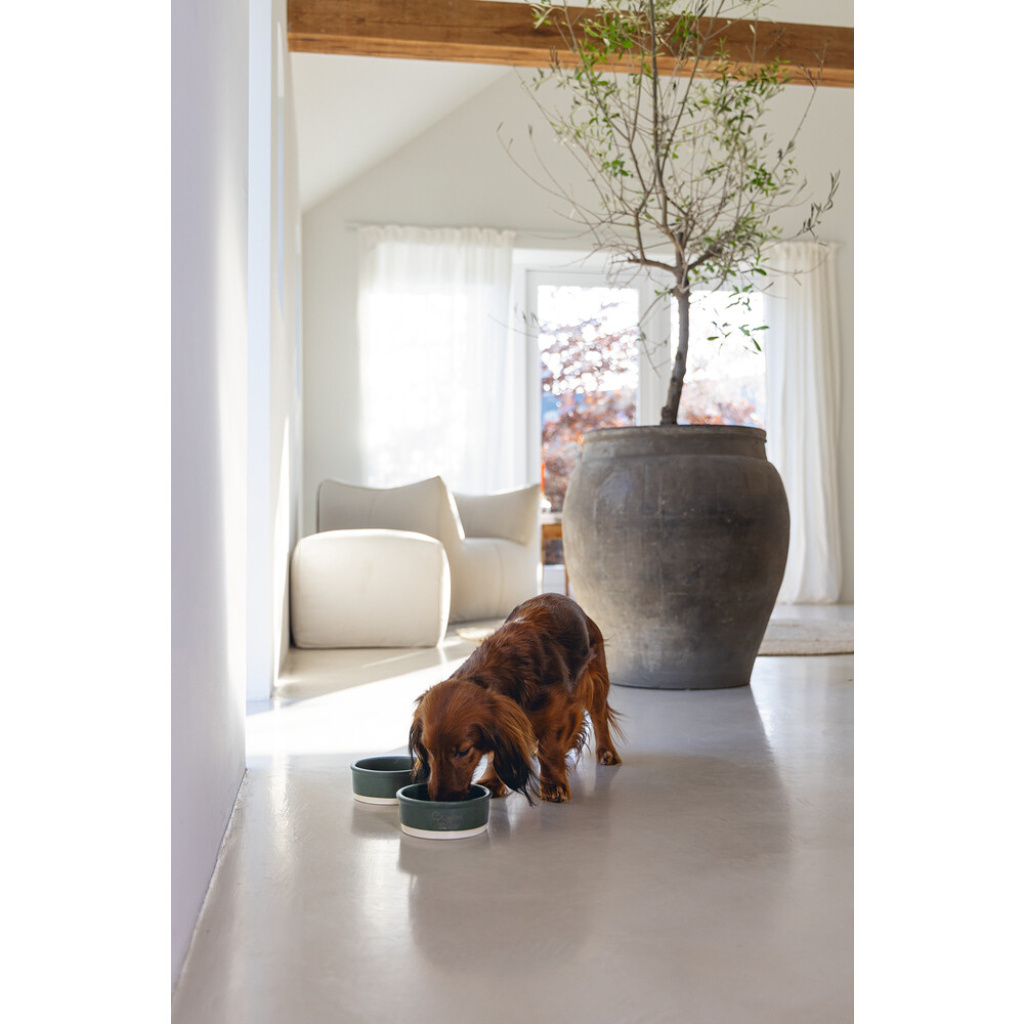 Beeztees Dbl Seramik Köpek Mama Su Kabı 160ml (Yeşil)