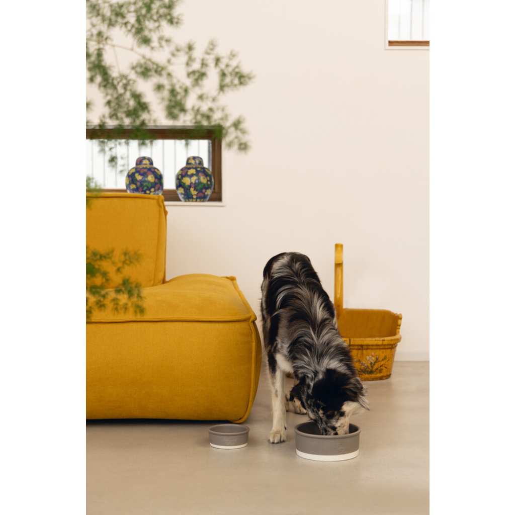 Beeztees Dbl Joa Seramik Köpek Mama Su Kabı 160ml (Gri)
