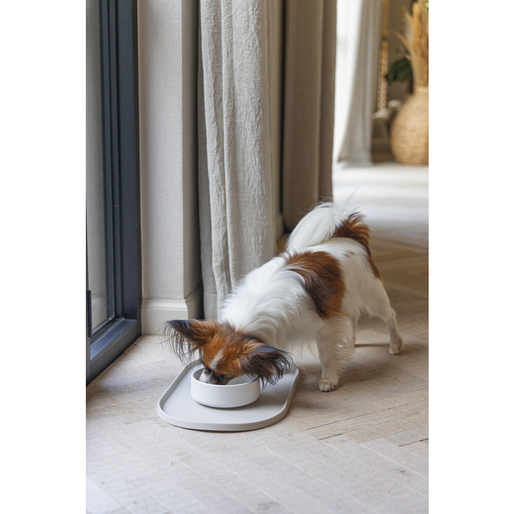 Beeztees Dbl Bambu Köpek Mama Su Kabı 410ml (Bej)