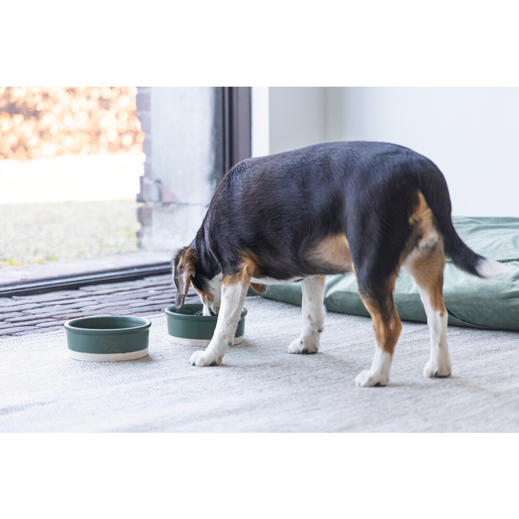Beeztees Dbl Joa Seramik Köpek Mama Su Kabı 350ml (Yeşil)