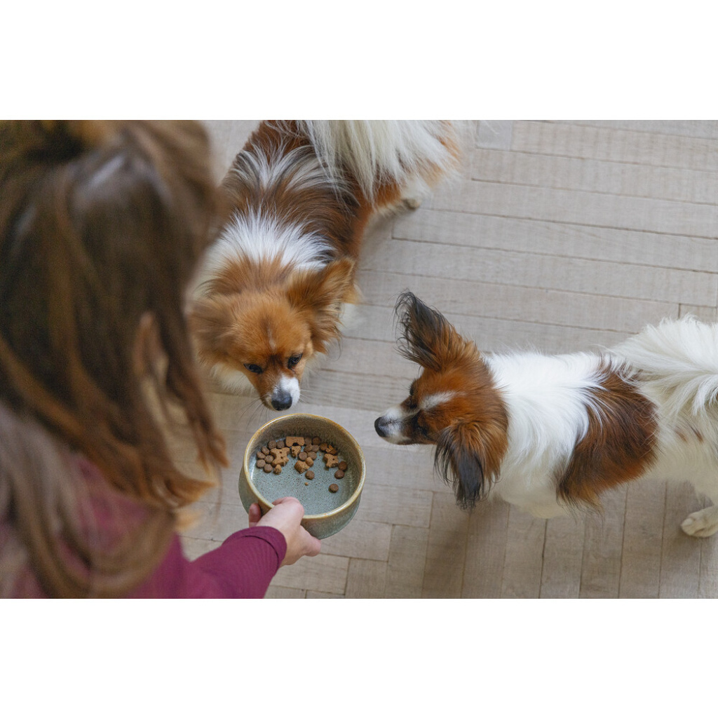 Beeztees Dbl Jace Seramik Köpek Mama ve Su Kabı 500ml (Yeşil)