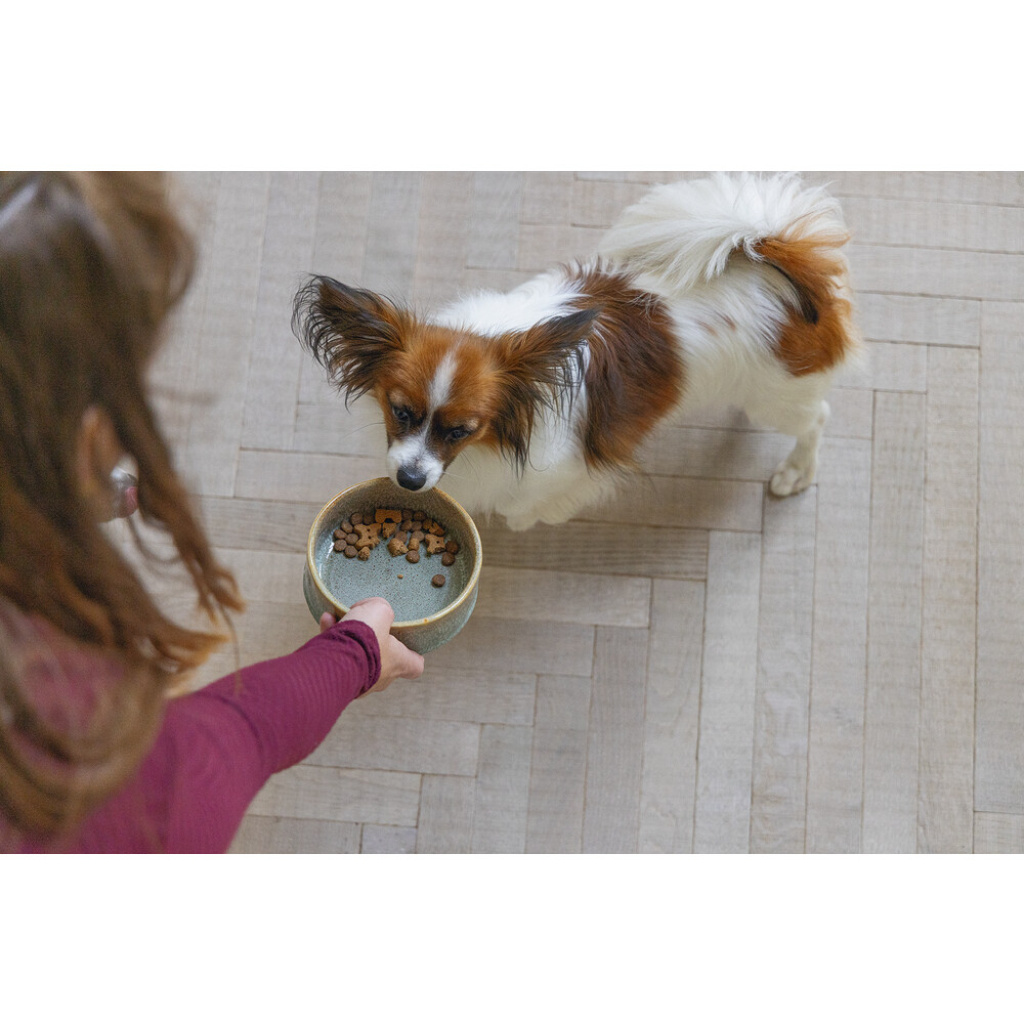 Beeztees Dbl Jace Seramik Köpek Mama ve Su Kabı 500ml (Yeşil)